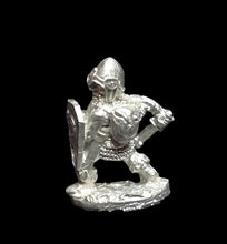 Load image into Gallery viewer, 50-2982: Gnome Hero with Sword and Shield
