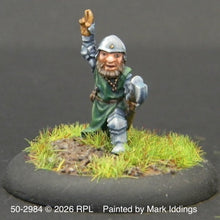 Load image into Gallery viewer, 50-2984:  Gnome Hero with Axe
