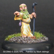 Load image into Gallery viewer, 50-2992:  Gnome Sorcerer with Staff
