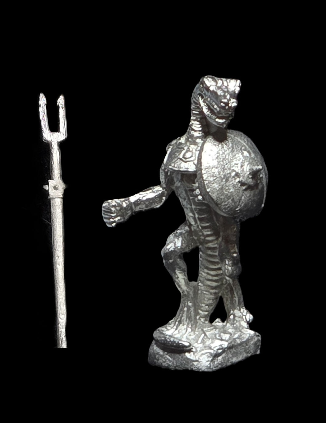 50-6539:  Reptiliad Heavy Infantry, In Reserve, Round Shield