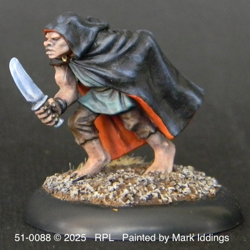51-0088:  Goblin Assassin