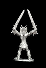 Load image into Gallery viewer, 51-0657: Chaos Warlord with Two Swords - Blasavius Dragonlord
