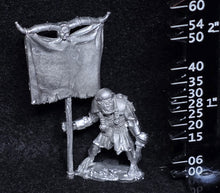 Load image into Gallery viewer, 51-2554:  Chaos Orc Standard Bearer
