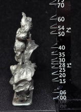 Load image into Gallery viewer, 51-7769:  The Thing in the Fog
