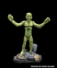 Load image into Gallery viewer, 51-7848:  Acolyte
