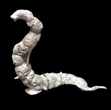 Load image into Gallery viewer, 51-7895:  Giant Worm [Dhole]
