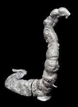 Load image into Gallery viewer, 51-7895:  Giant Worm [Dhole]
