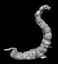 Load image into Gallery viewer, 51-7895:  Giant Worm [Dhole]
