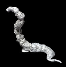 Load image into Gallery viewer, 51-7895:  Giant Worm [Dhole]
