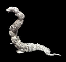 Load image into Gallery viewer, 51-7895:  Giant Worm [Dhole]
