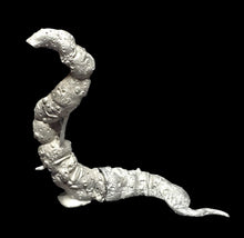 Load image into Gallery viewer, 51-7895:  Giant Worm [Dhole]
