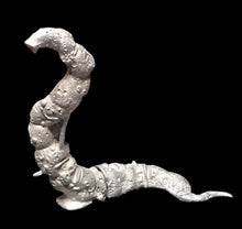 Load image into Gallery viewer, 51-7895:  Giant Worm [Dhole]
