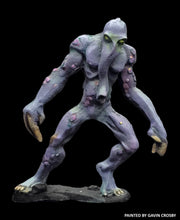 Load image into Gallery viewer, 51-7975:  Shugoran
