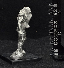 Load image into Gallery viewer, 51-7975:  Shugoran
