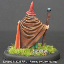 Load image into Gallery viewer, 52-0502:  Wizard, Staff, Poitned Hat
