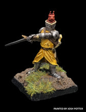 Load image into Gallery viewer, 52-1105:  Foot Knight (Sir Bruse)
