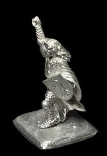 Load image into Gallery viewer, 52-1169:  Paladin on Foot (Sir Gareth)

