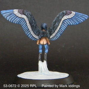 53-0672:  Harpy, Hovering