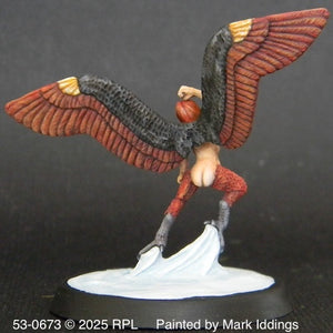 53-0673:  Harpy, Flying