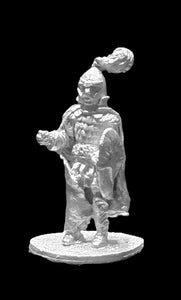 57-0082:  Elf Lord with Kite Shield