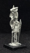 Load image into Gallery viewer, 57-0295:  Vallor Standard Bearer
