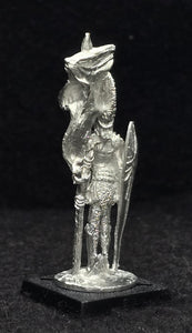 57-0295:  Vallor Standard Bearer