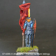 Load image into Gallery viewer, 57-0295:  Vallor Standard Bearer
