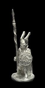 57-0302:  Guardsman In Reserve