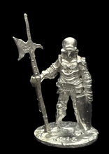 Load image into Gallery viewer, 57-0326:  Foot Knight with Polearm
