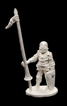 Load image into Gallery viewer, 57-0327:  Foot Knight with Lance

