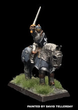 Load image into Gallery viewer, 57-0395 / 48-0567:  Knight in Full Plate on Armored WarHorse [rider and mount]
