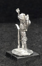 Load image into Gallery viewer, 57-0702:  Skeleton with Round Shield and Weapon Raised
