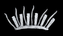 Load image into Gallery viewer, 97-0306:  Stave Bows and Quivers [x12]
