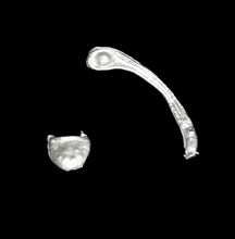 Load image into Gallery viewer, 97-0393:  Slings and Ammunition Pouches [x12]
