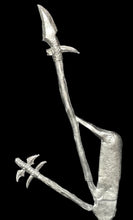 Load image into Gallery viewer, 97-0877:  Giant Spear and Spiked Club
