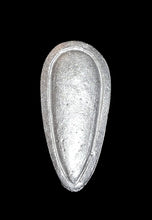 Load image into Gallery viewer, 97-4115:  Tear Drop Shield, with Heavy Border
