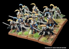Load image into Gallery viewer, 98-1130: Armored Elf Swordsmen [12]
