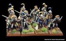 Load image into Gallery viewer, 98-1130: Armored Elf Swordsmen [12]
