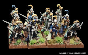 98-1130: Armored Elf Swordsmen [12]