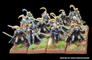 98-1130: Armored Elf Swordsmen [12]