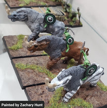 Load image into Gallery viewer, 98-3172: Goblin Brontotherum Cavalry [3]
