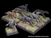 Load image into Gallery viewer, 98-5139: Arthurian Dwarf Beastmaster with Warhounds [7]
