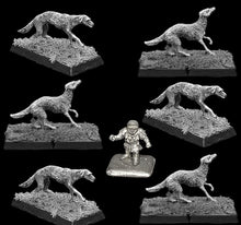 Load image into Gallery viewer, 98-5139: Arthurian Dwarf Beastmaster with Warhounds [7]
