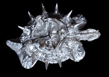 Load image into Gallery viewer, 99-5089:  Reptiliad War Turtle [1]
