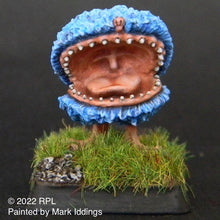 Load image into Gallery viewer, TMM-4003  Big Teeth Wooly

