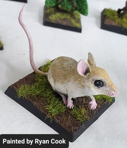 48-0887:  Giant Field Mouse