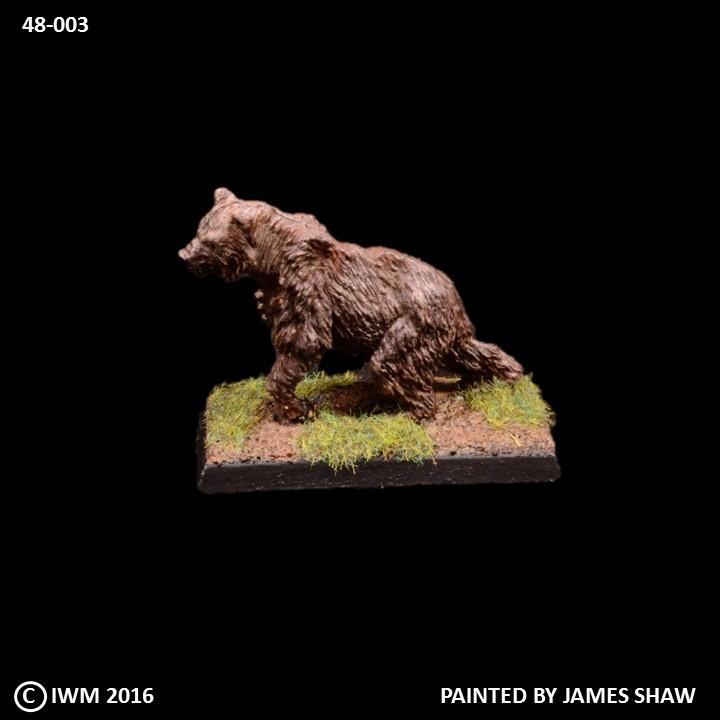 48-0003:  Bear, Giant