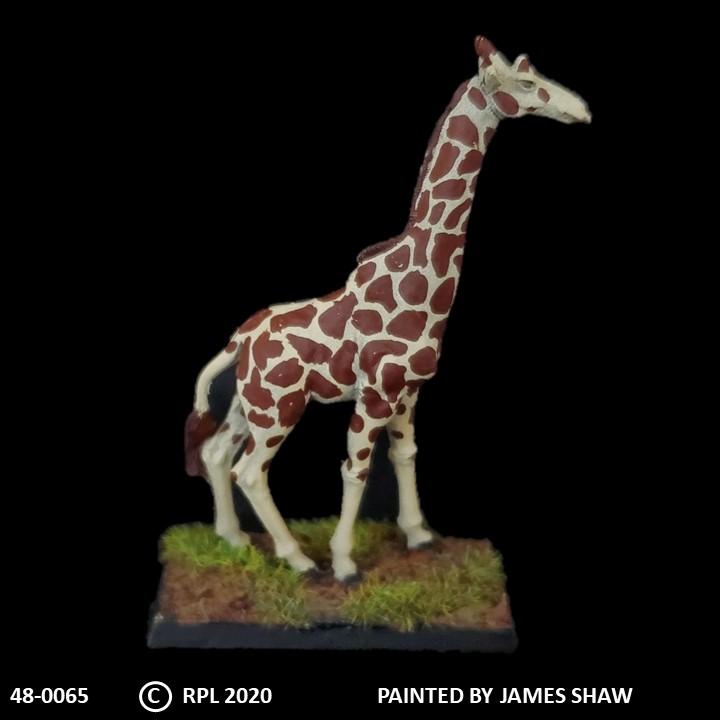 48-0065:  Giraffe