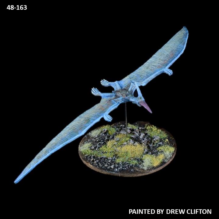 48-0163:  Pteranadon