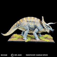 Load image into Gallery viewer, 48-0168:  Triceratops
